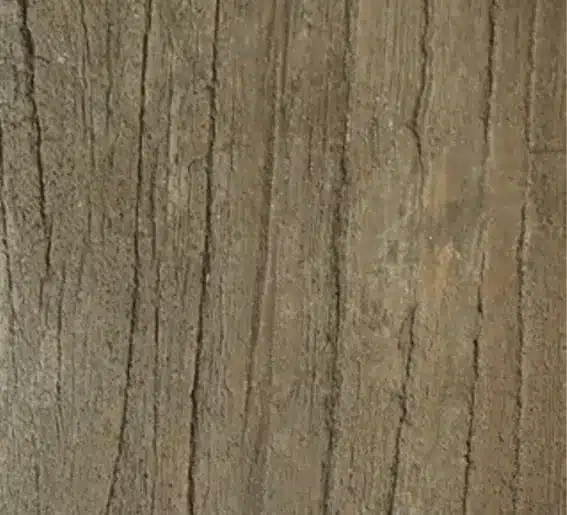 Aged Elm Light